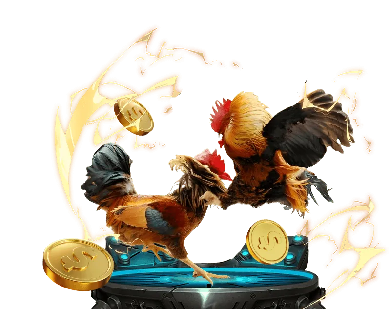 Hành vi bị cấm khi tham gia cá cược tại five88 sập